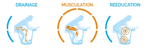 Idéal pour la musculation