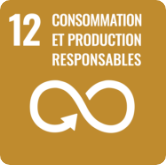 SDG 12 - Responsible Consumption and Production