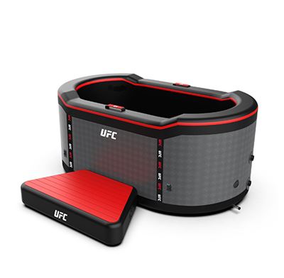 Jarvi UFC 2