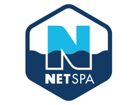 Logo Netspa