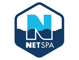 Netspa Logo