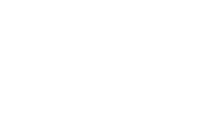 53 buses