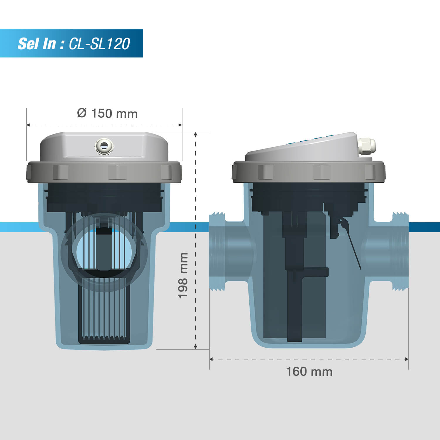 dimensions sel in